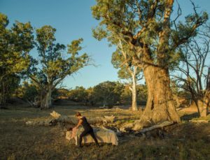 Desert Elements Massage on the Arkaba Walk - Brendon Bevan