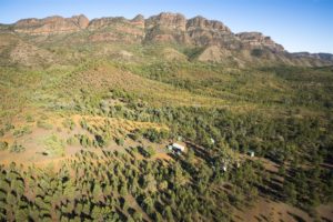 Elder Signature Swag Camp - Luke Tscharke