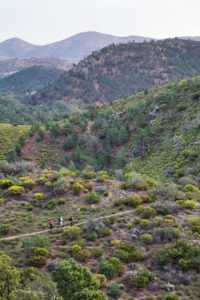 Expertly guided walking holiday - Richard Field