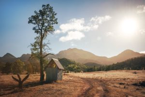 Shower with a view - Luke Tscharke