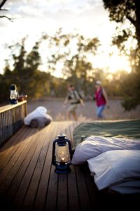 Swag Deck - Randy Larcombe